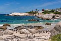 153 Boulders Beach, Zuid-Afrika